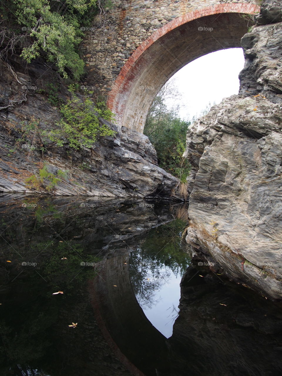 Reflection of bridge in the river