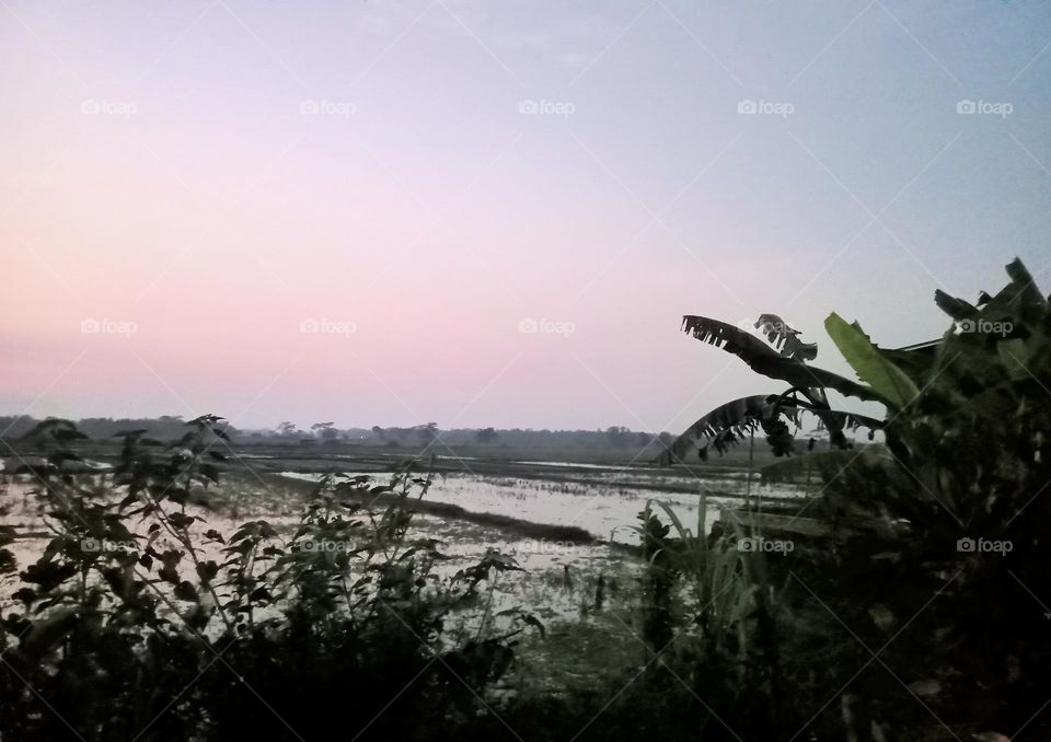 A View of morning day