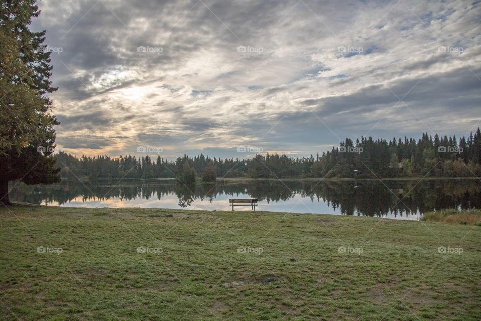 Lake reflections 