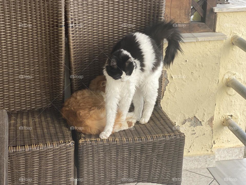 She wanted to come to me as she saw me.