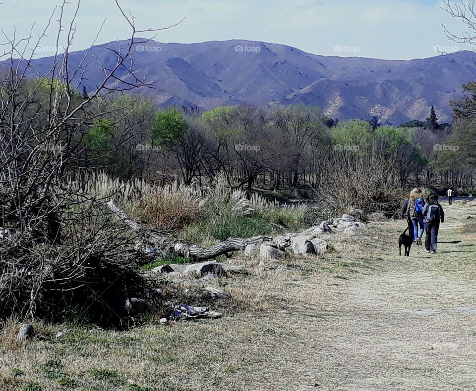 Cosquin