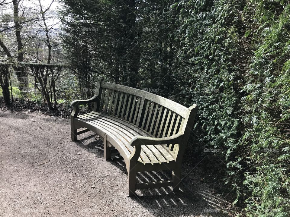 Love the shape of this lovely seat and it’s location surrounded by greenery completes its presence.