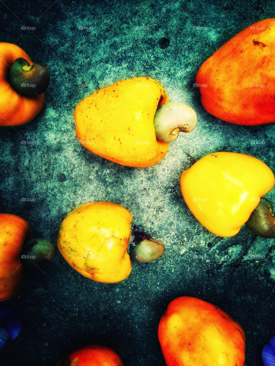 cashew fruit