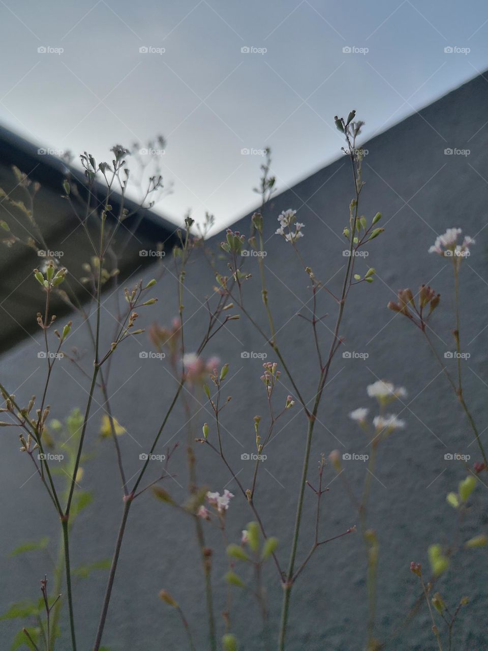 Nature is always artistic in its creations