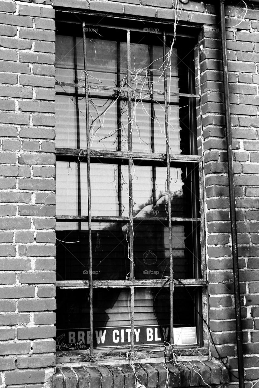 Urban Window