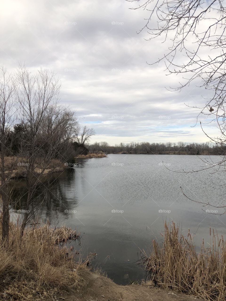 Gloomy day at the lake