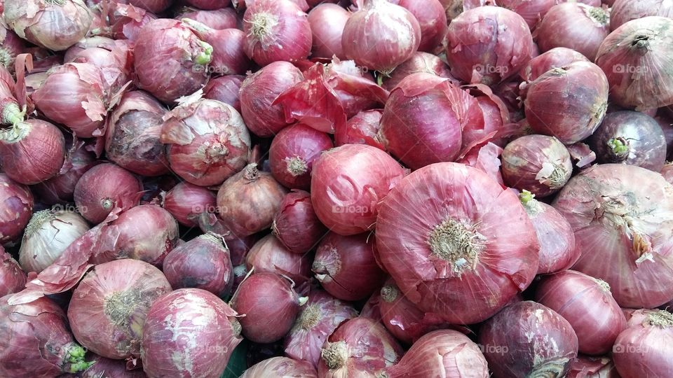onion