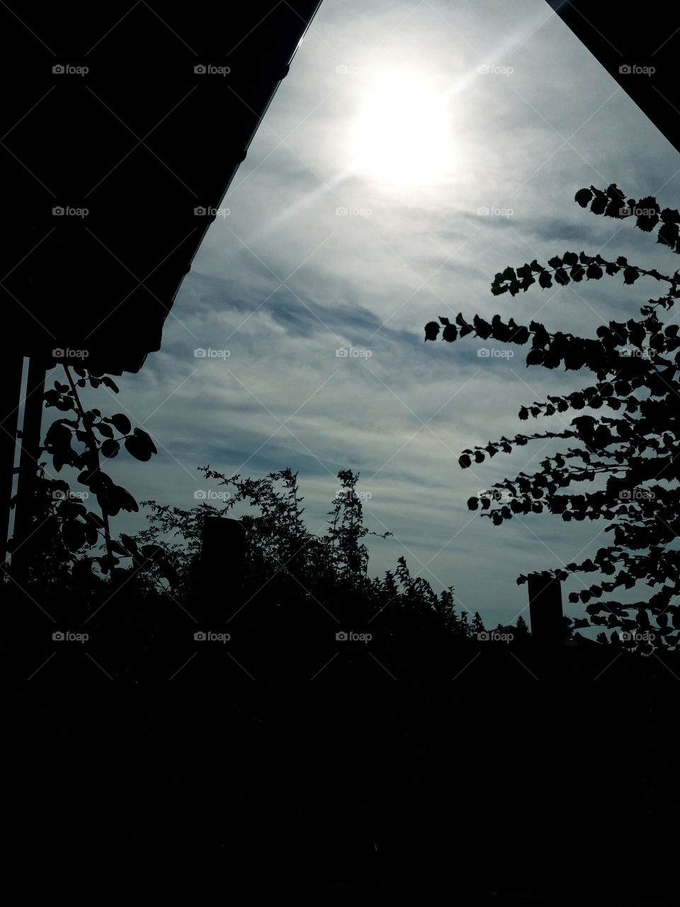 sun coming out from behind the clouds at autumn mid-day, black silhouettes  of trees