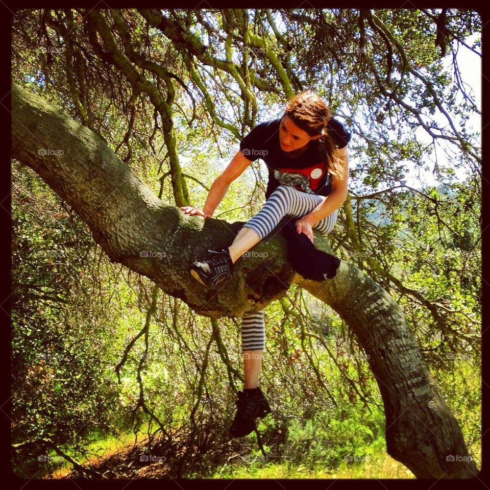 Climbing in Trees