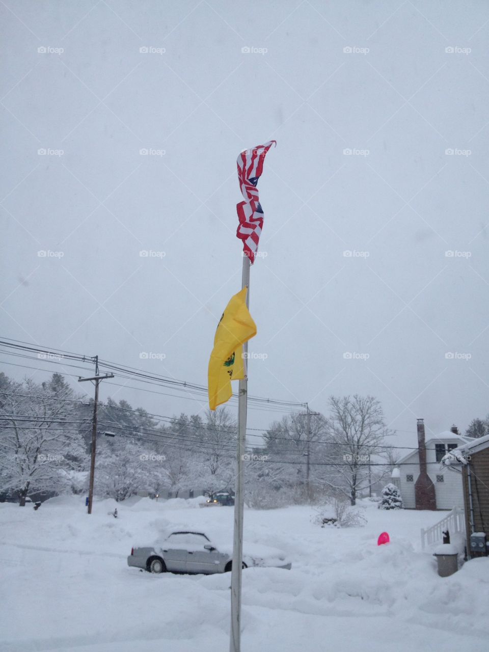 American Flag in gray snowstorm flying on flagpole, along with Don't Tread On Me yellow flag.