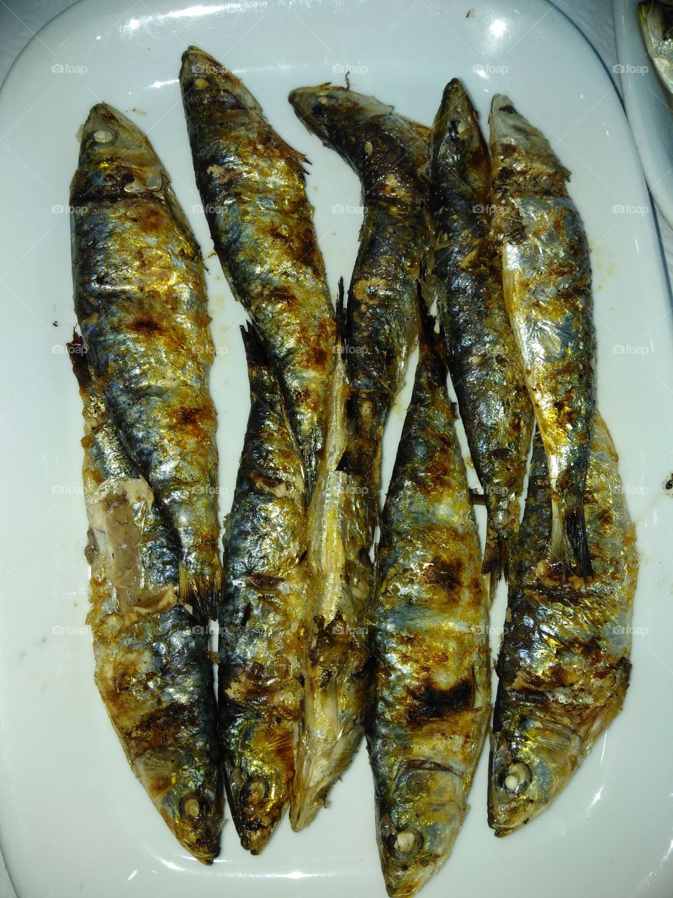 grilled sardines