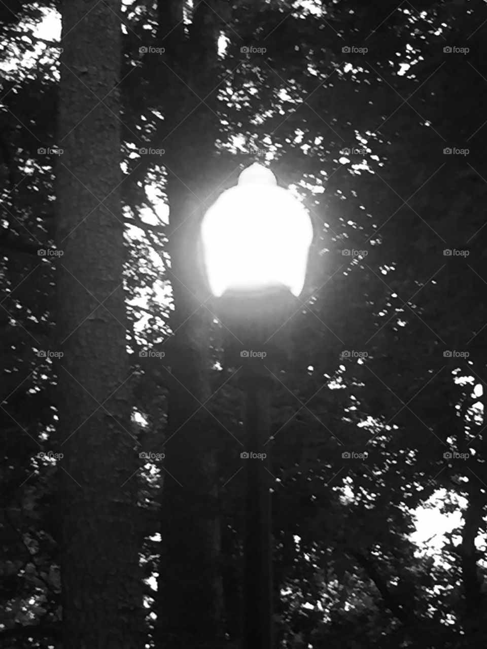 Lamp. Street light