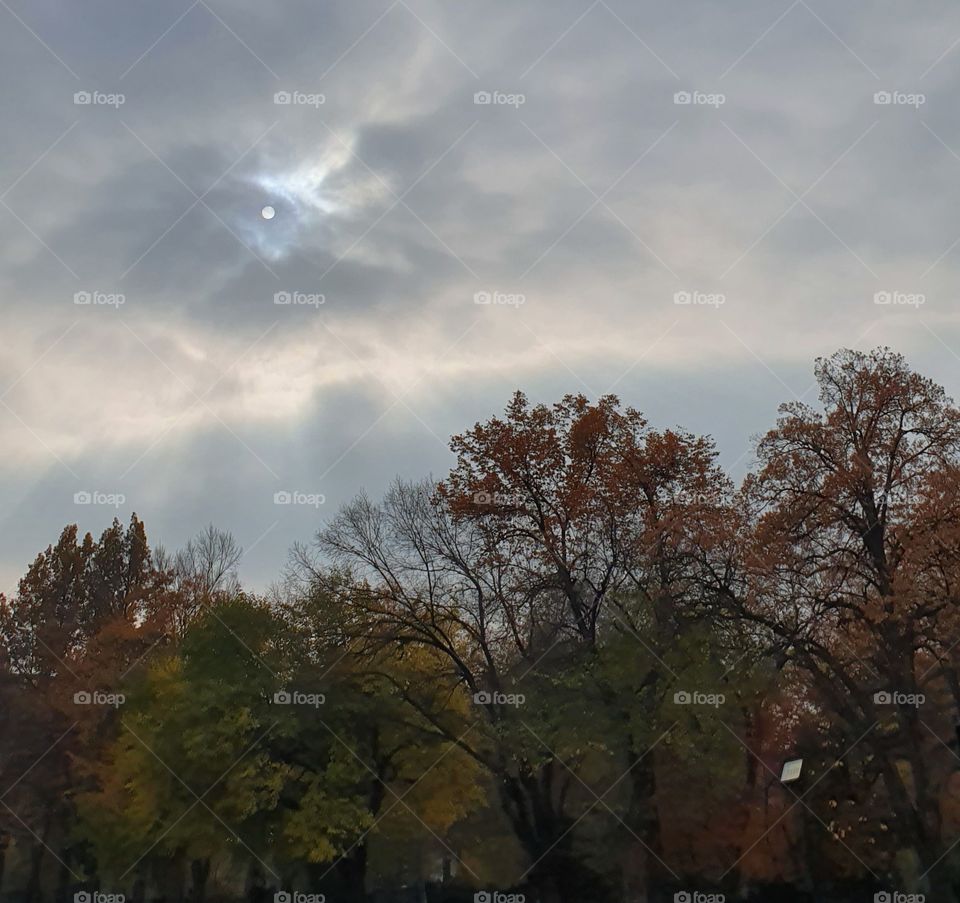 sun shining from the clouds in fall