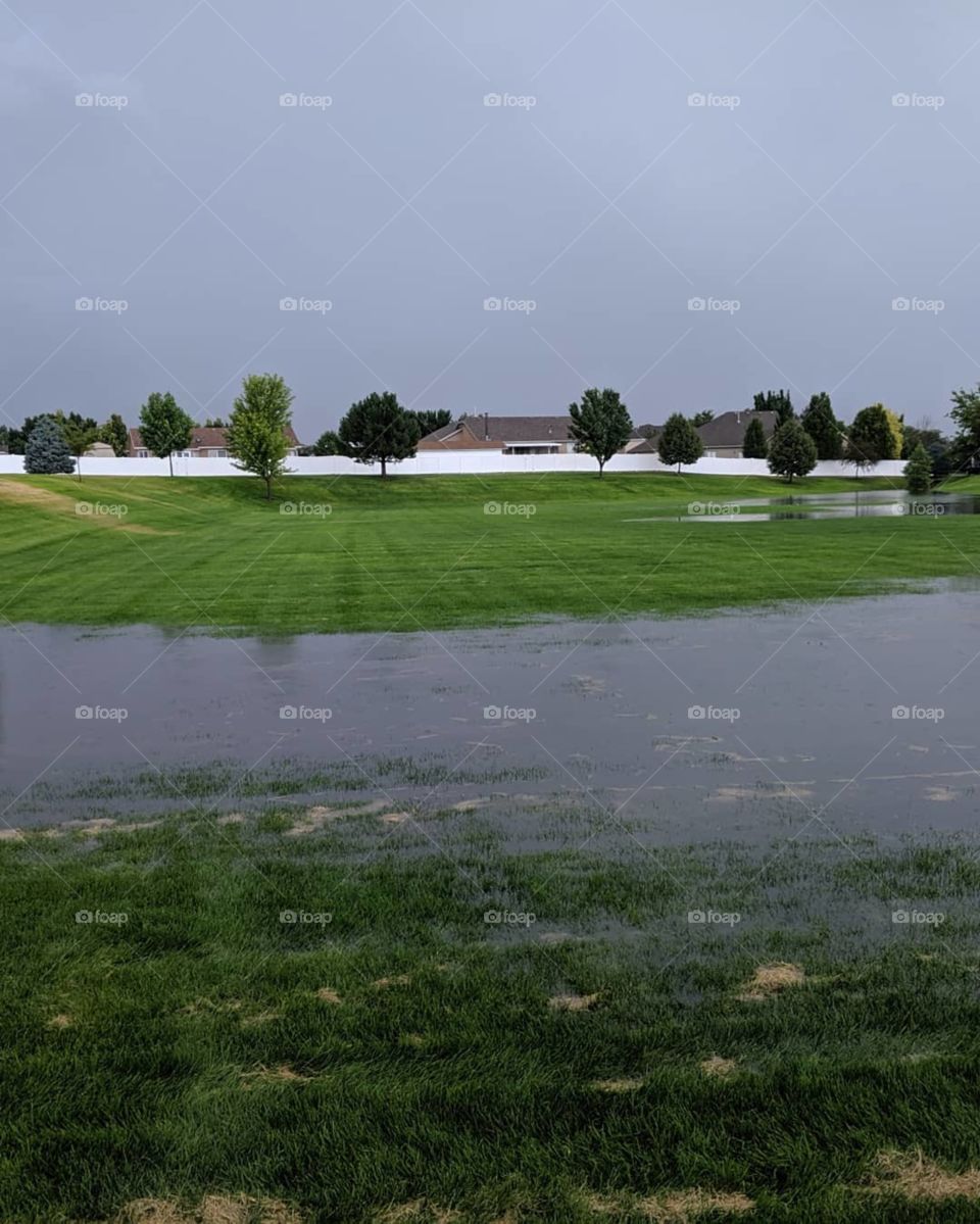 Standing Water Stillwater