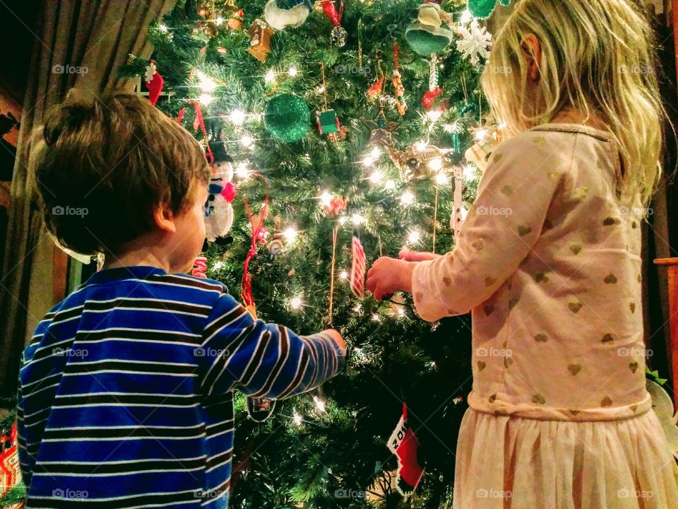 it's the most wonderful time of the year