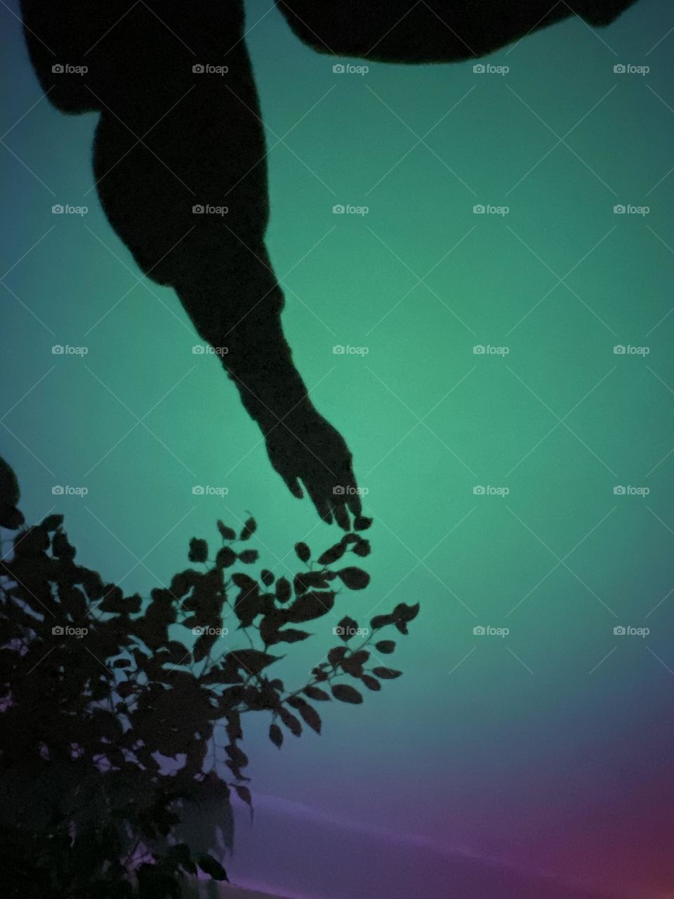 bright colors in minimalism