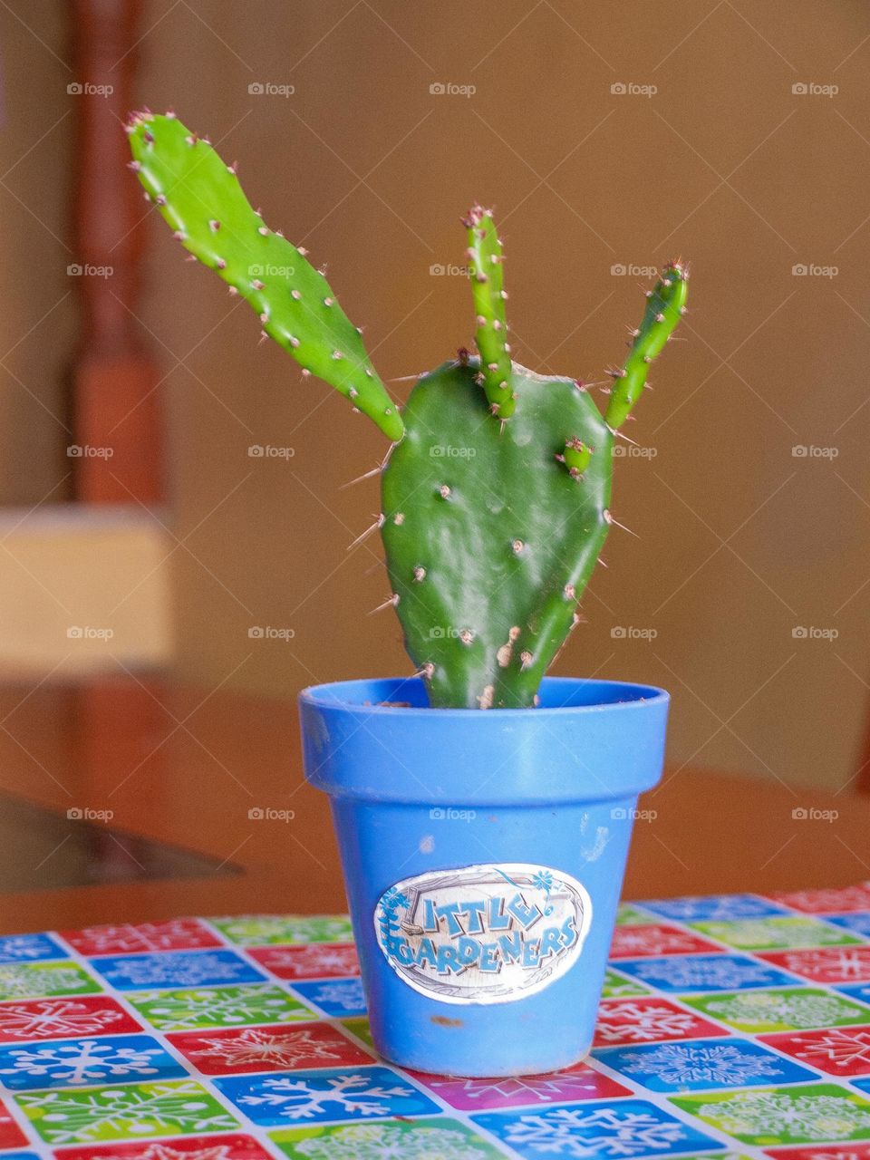 cactus