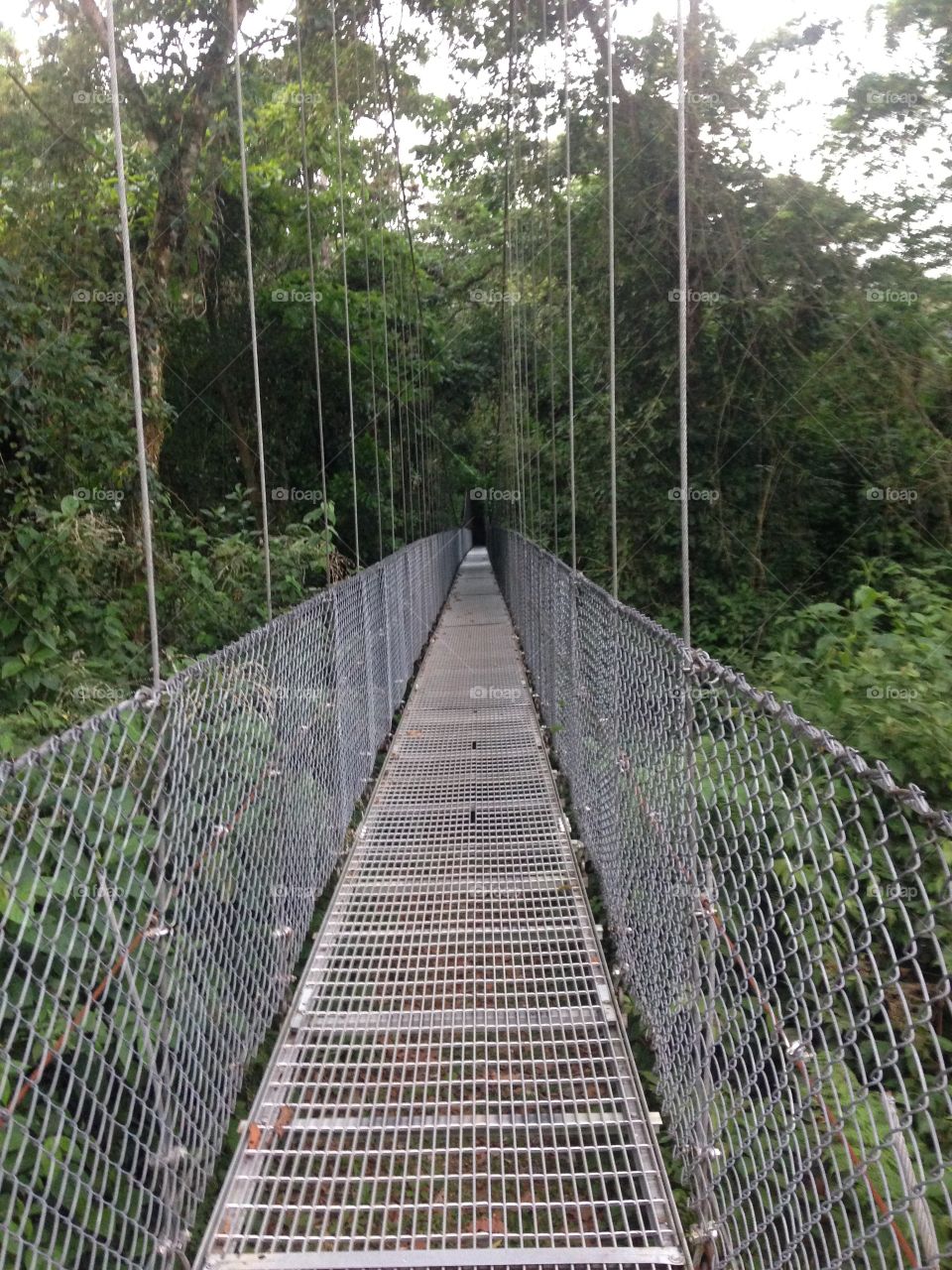 Hanging Bridge in Costa Rica 