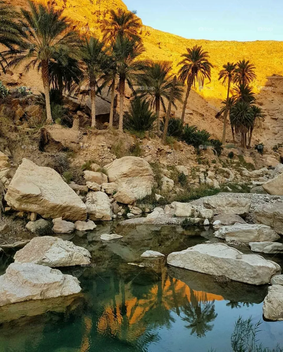 algeria