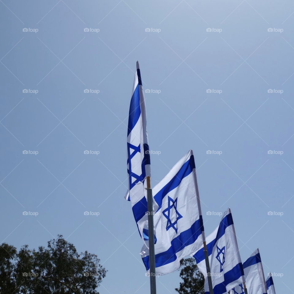 Flag. Flags of the Land of Israel