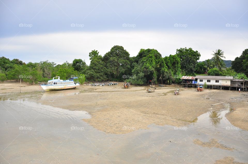 Beach, Sand, Calamity, Travel, Tree