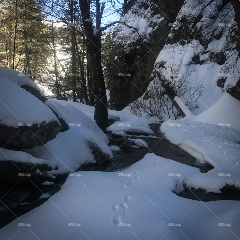 Nature Winter Landscape - Snow & Water