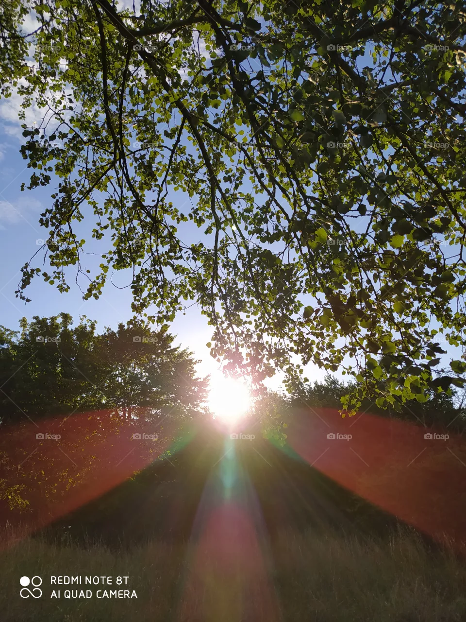 sunrise