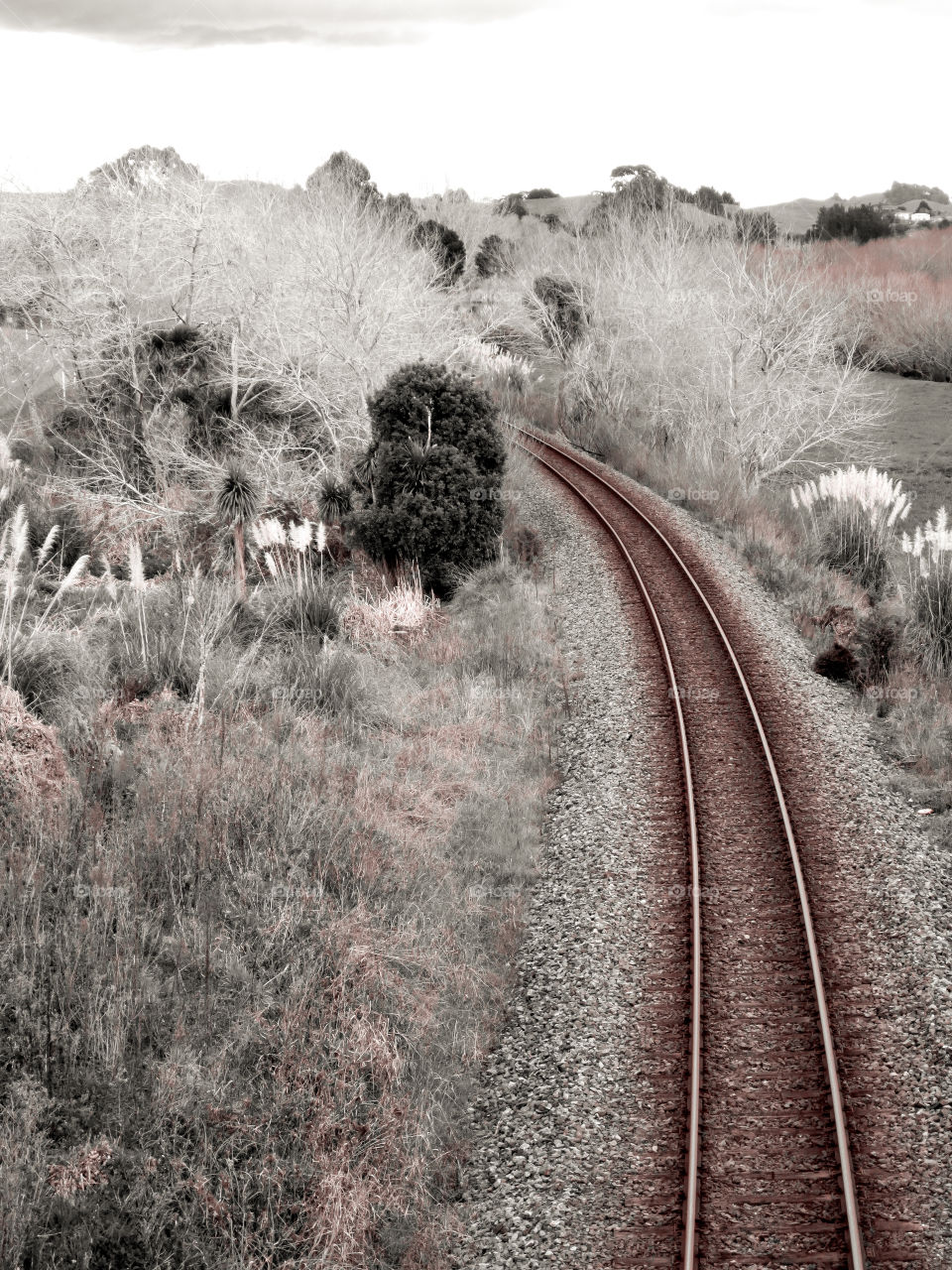 Rustic Train Track