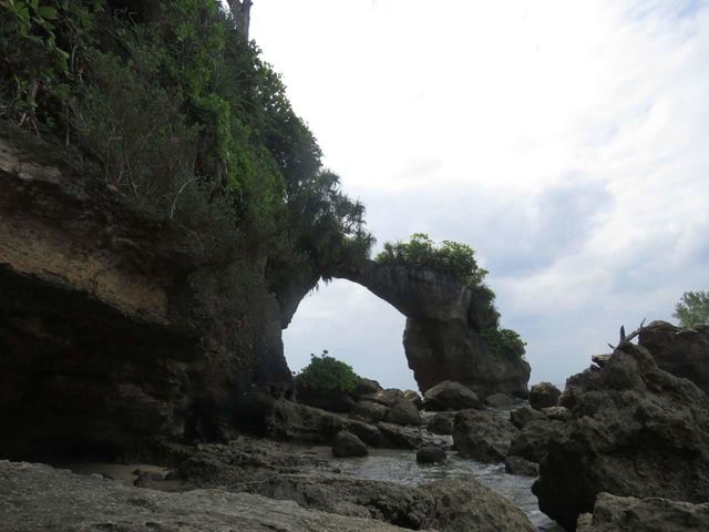 nature bridge