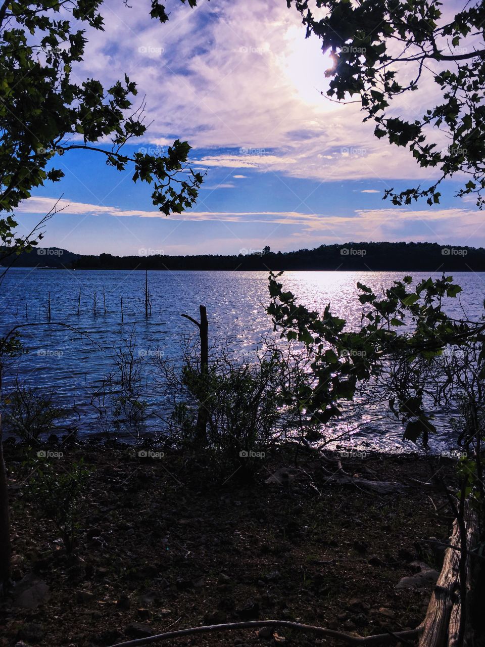 Tree, Water, No Person, Landscape, Lake