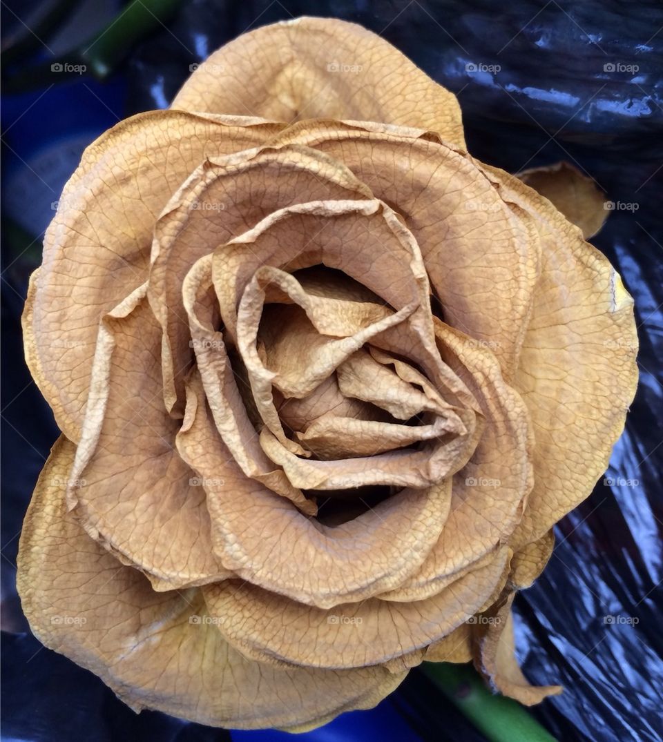 Beauty is in the eye of the beholder