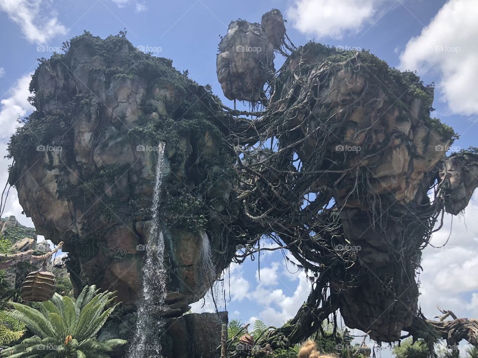 Visiting Pandora in Walt Disney World.