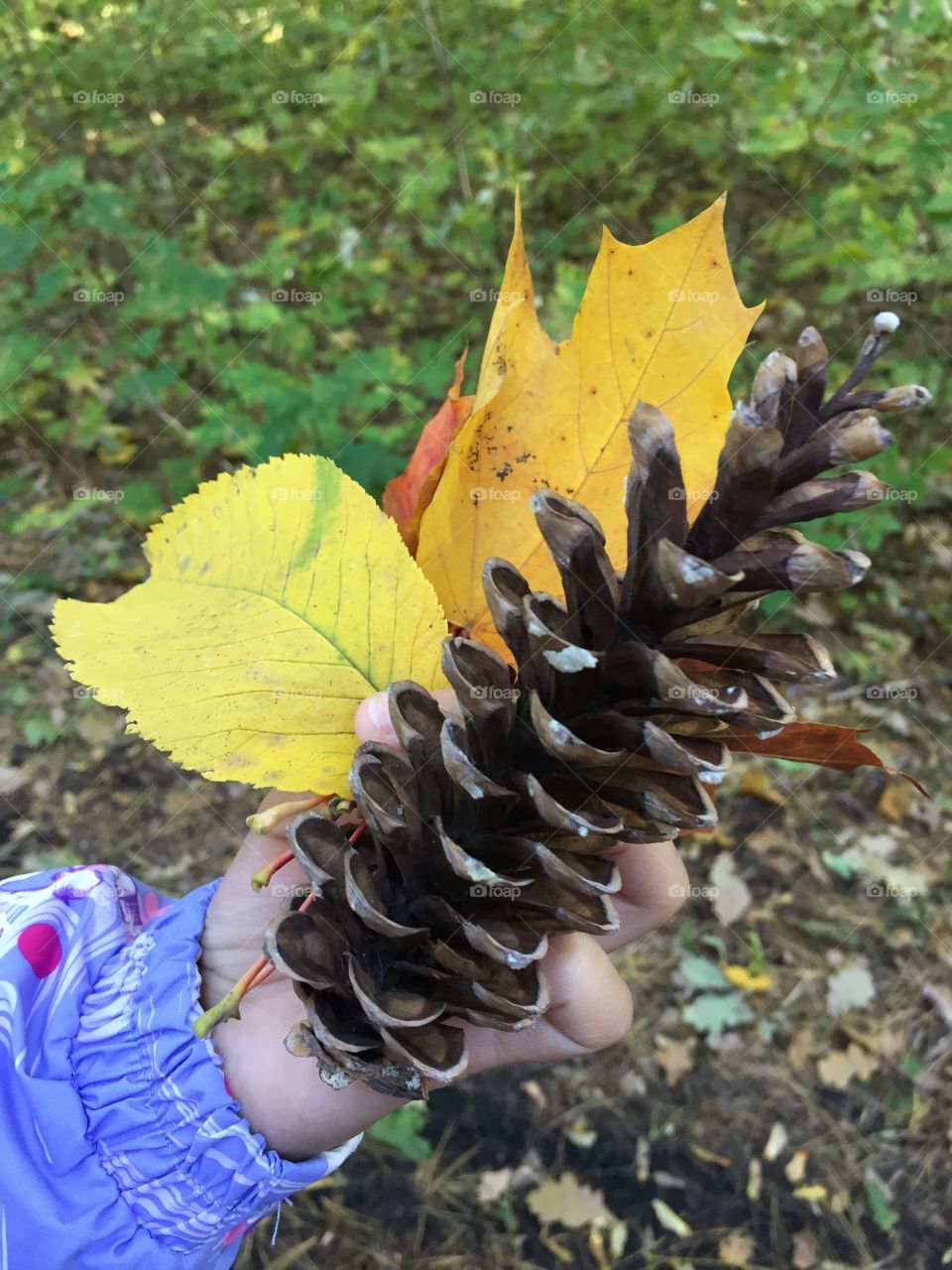 Autumn carries more gold in its pocket than all the other seasons. 
