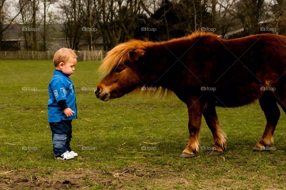 Boy versus pony