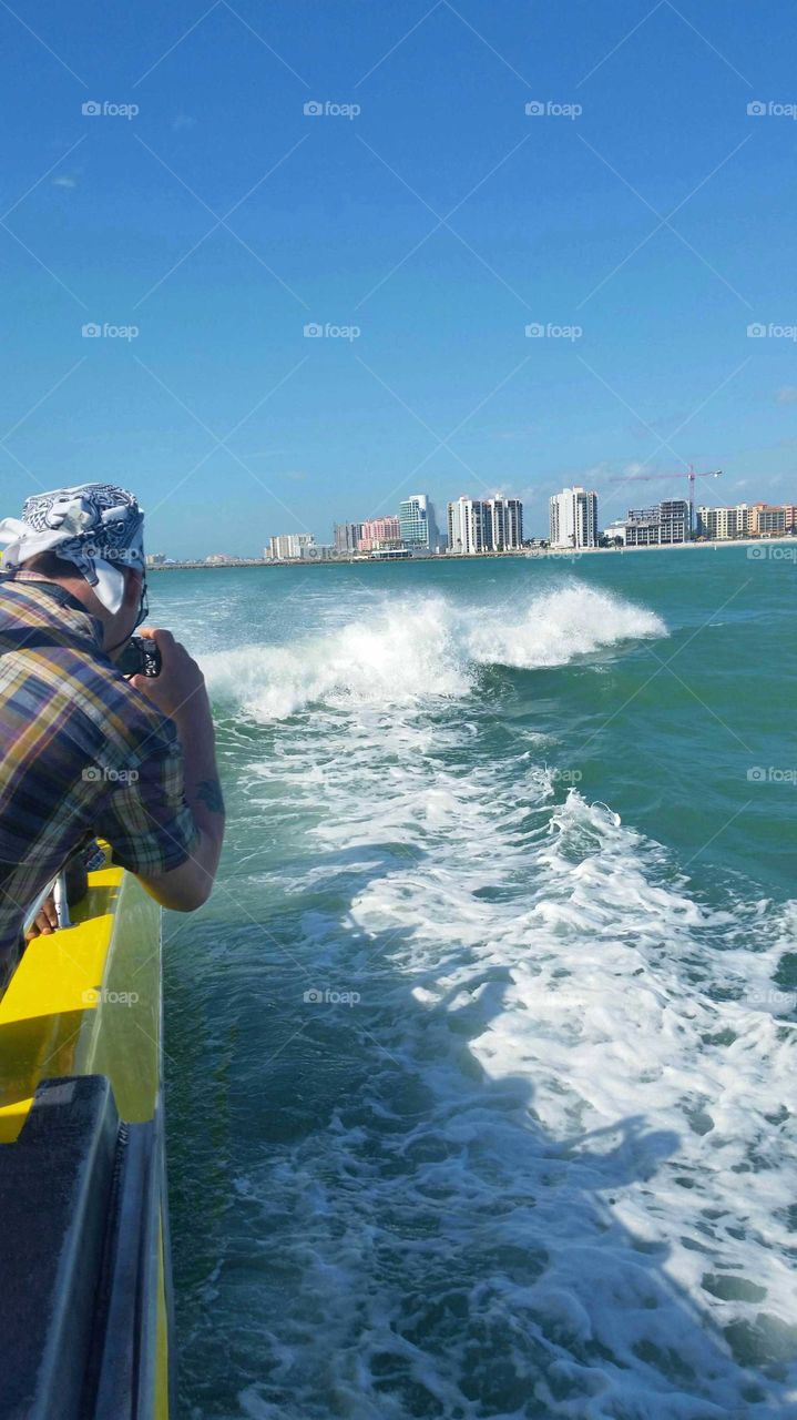 Capturing a Dolphin Photo