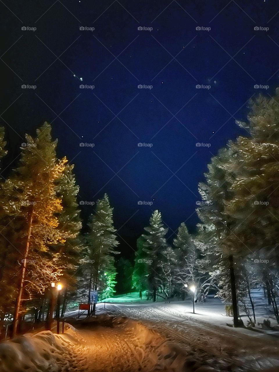 Starry sky in Lapland 