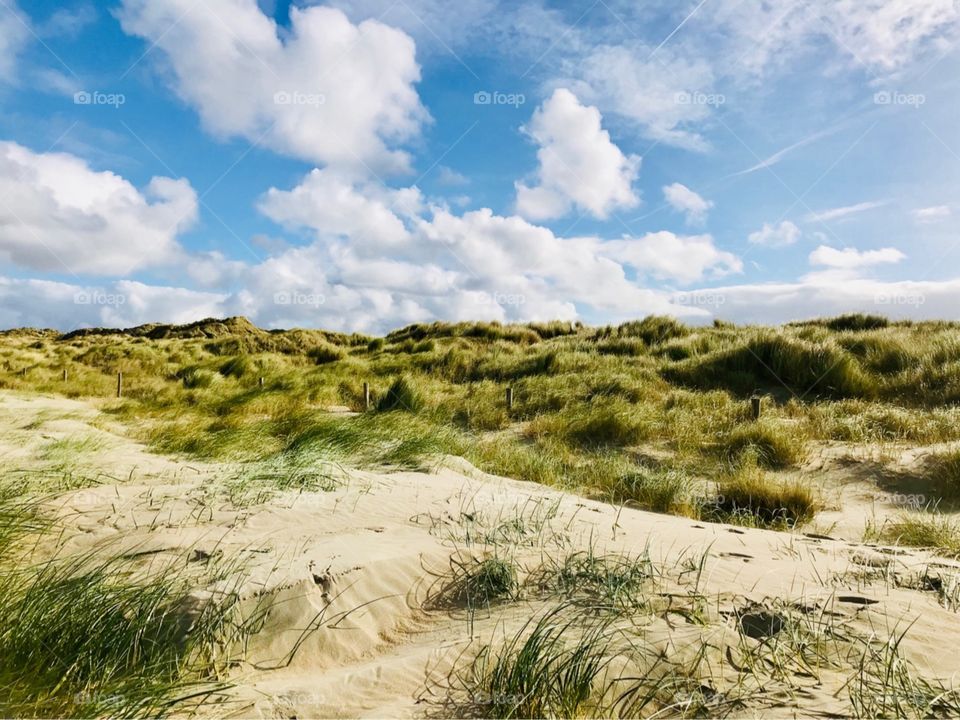 Fall travel , Sunny dunnes