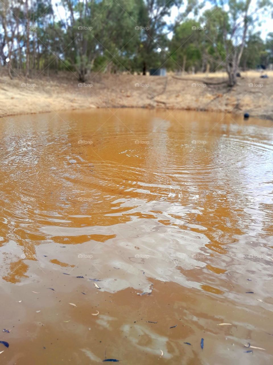 an orange Australian muddle pond, rippling as small specks of dust fall from the sky and disturb the waters surface peace