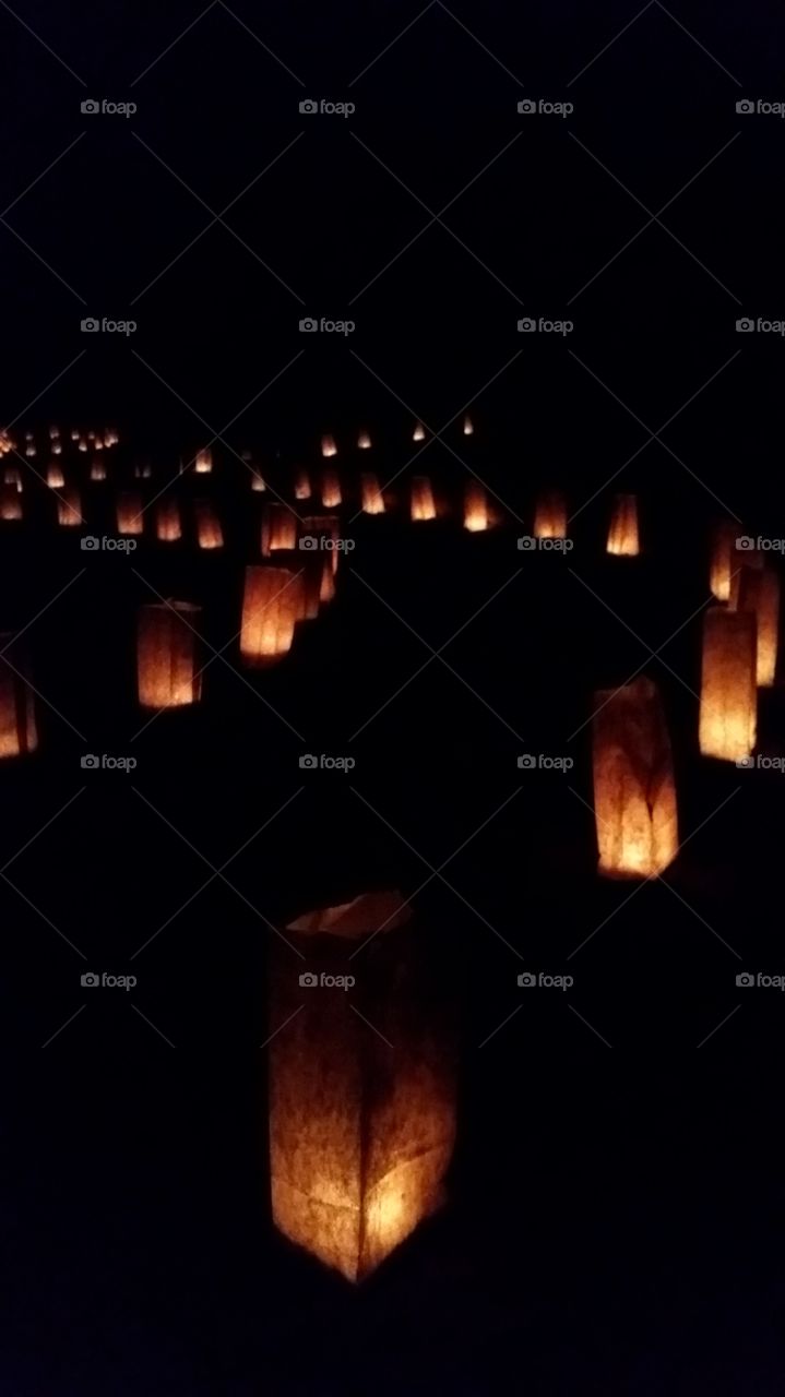 Paper lanterns illuminate a pathway