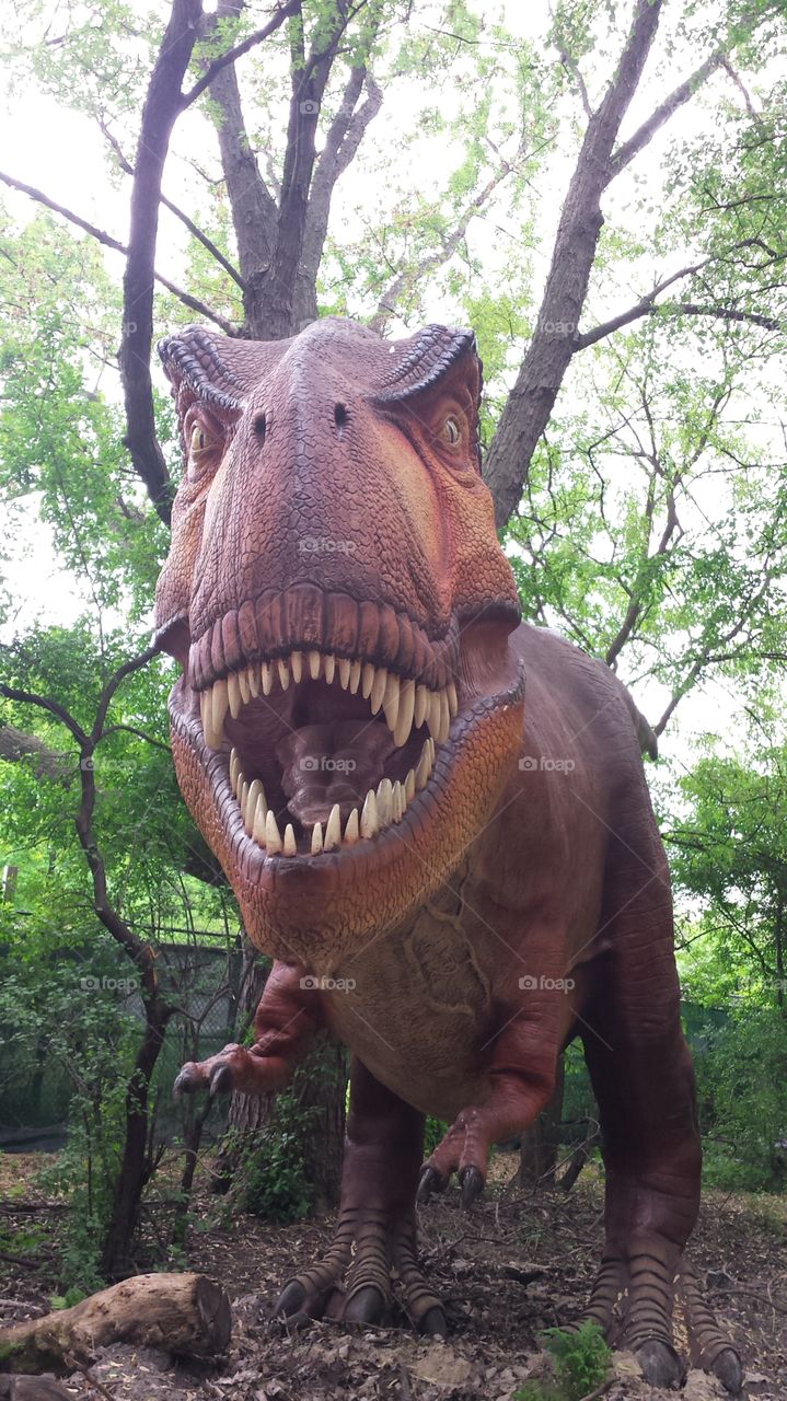 t Rex. the new dinosaur exhibit at the Detroit zoo