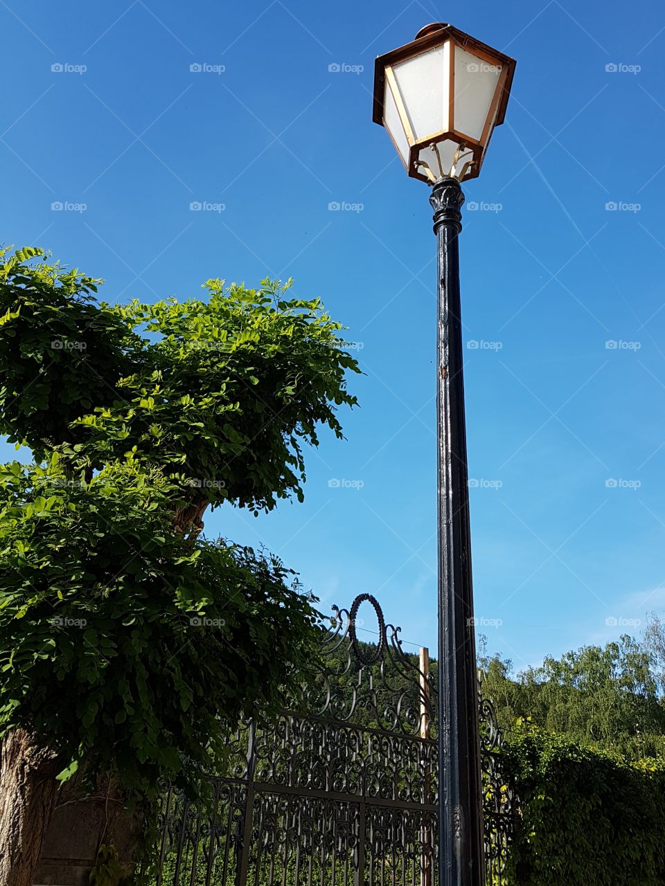 lantern