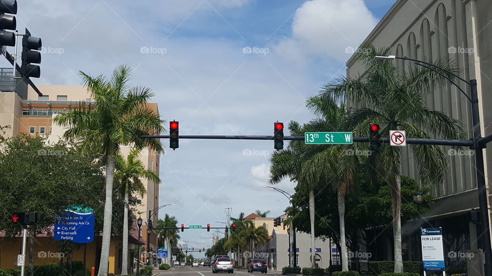 Palm trees line the street in Manatee County.