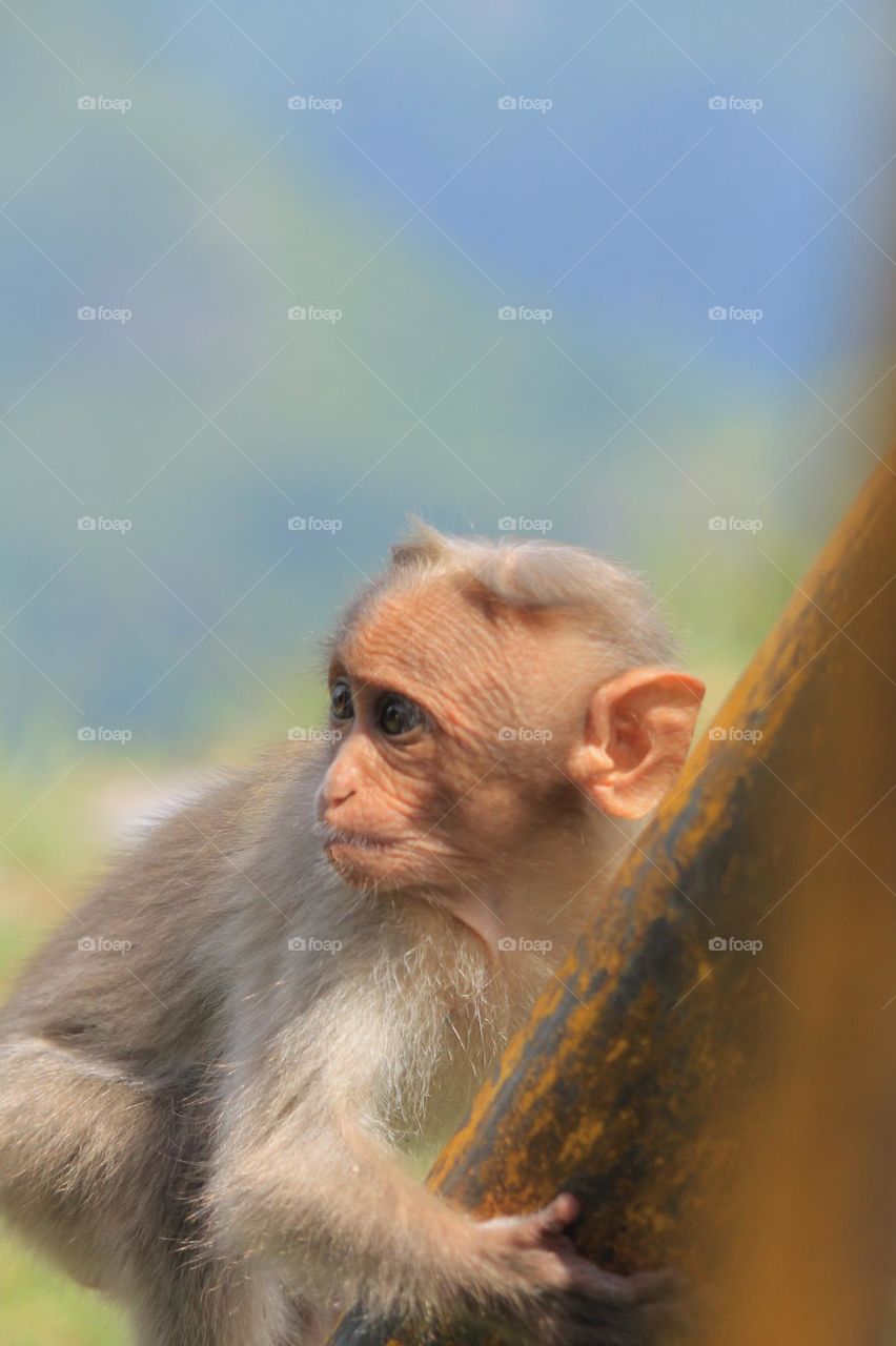 god creates the beauty .my camera  and i  are a witness✨