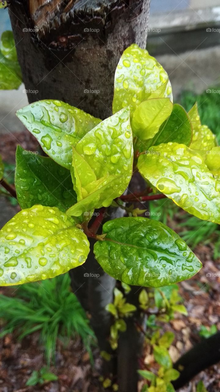 после дождя