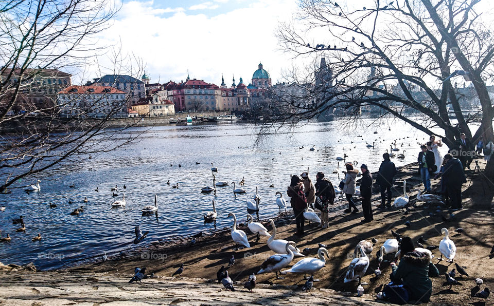 Winter in Prague