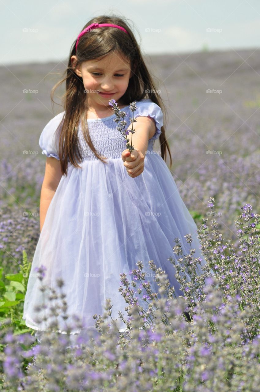 Lavander girl