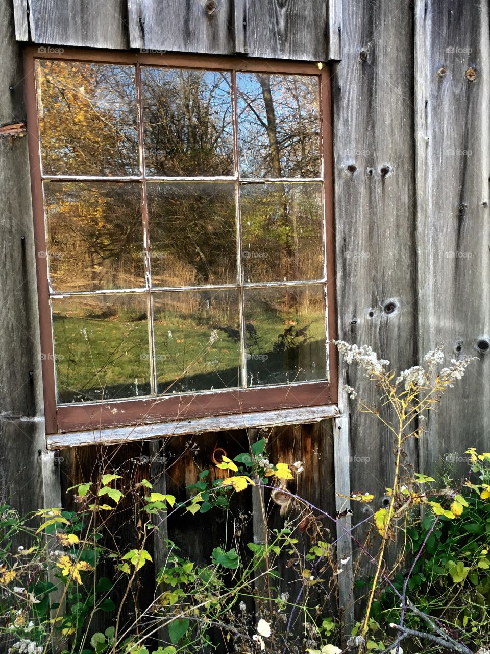 Barn window 