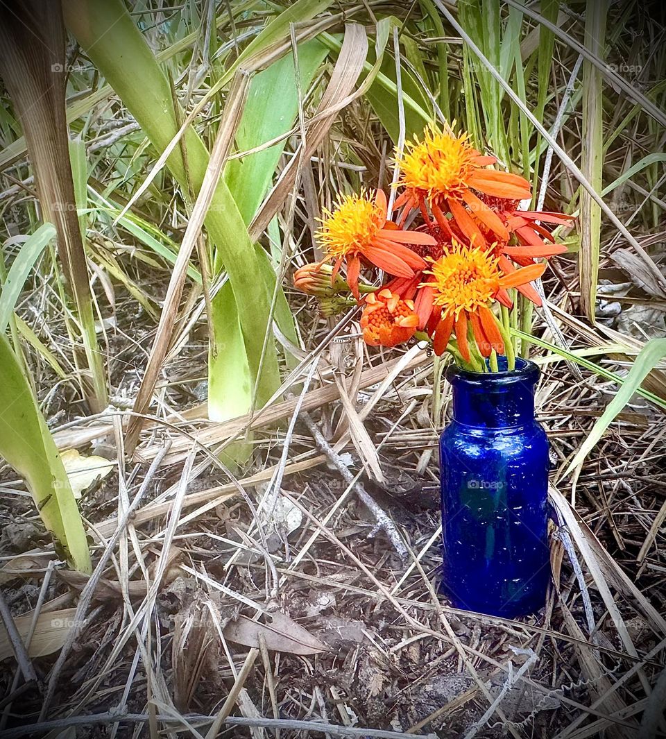Cobalt blue and orange still life.