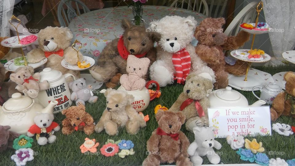 Teddy Bears