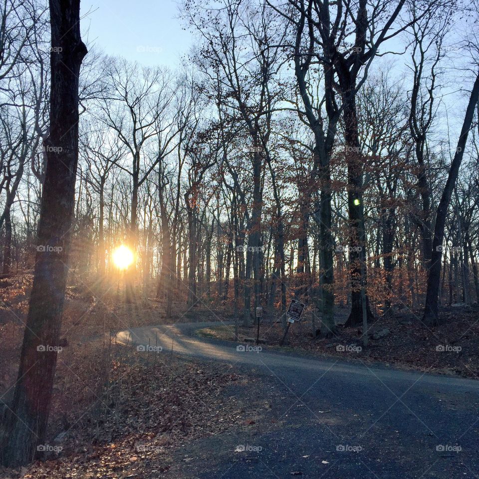 Out early this AM for long run and a lot to think about. That reminded me of this quote by Pema Chodron: "It isn't what happens to us that causes us to suffer; it's what we say to ourselves about what happens." I'm really so grateful I live so close to this trail. Every weekend I get to do a nice mental reset. Enjoy your weekend...and your thoughts.